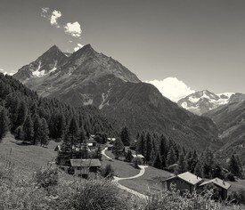 DSC3504nnb.jpg