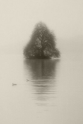 voyage1.jpg
